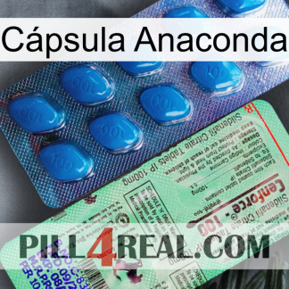 Cápsula Anaconda new02